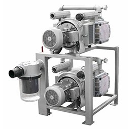Multi-Pump Vacuum System